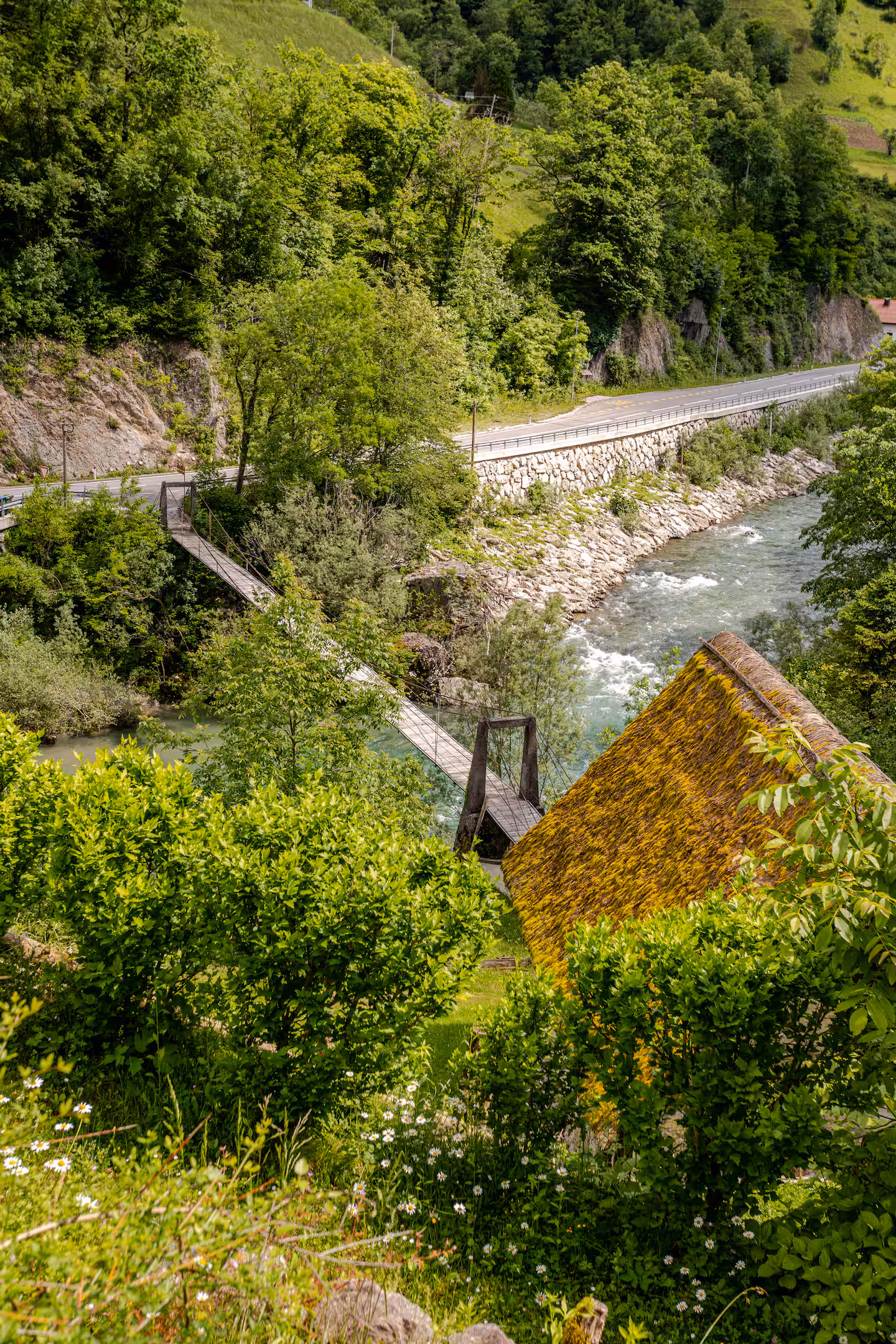 23428285 c4a5 4ce3 9751 650c152ba176